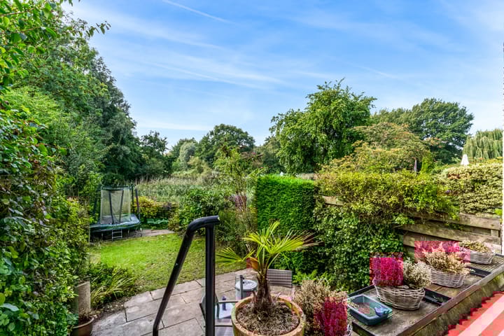 Foto 21 van Hermelijnvlinder 62