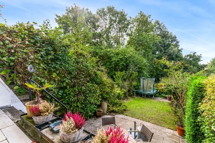 Foto 22 van Hermelijnvlinder 62