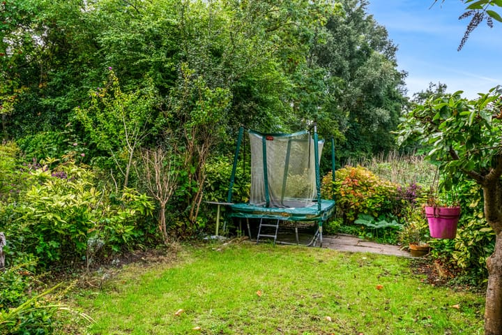 Foto 23 van Hermelijnvlinder 62