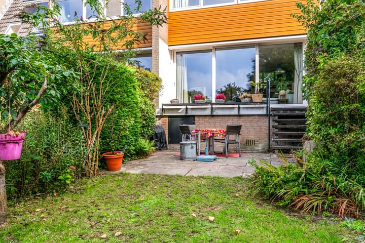 Foto 24 van Hermelijnvlinder 62