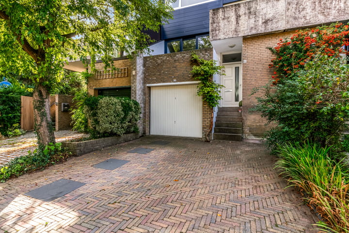 Foto 25 van Hermelijnvlinder 62