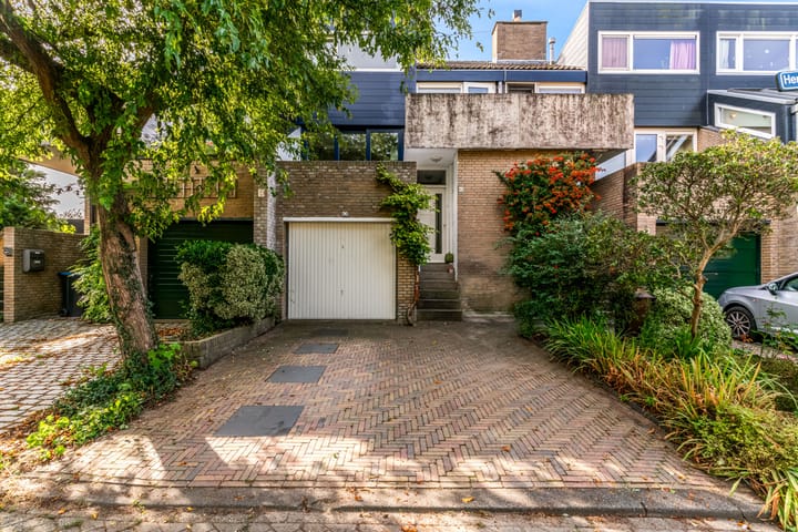 Foto 26 van Hermelijnvlinder 62