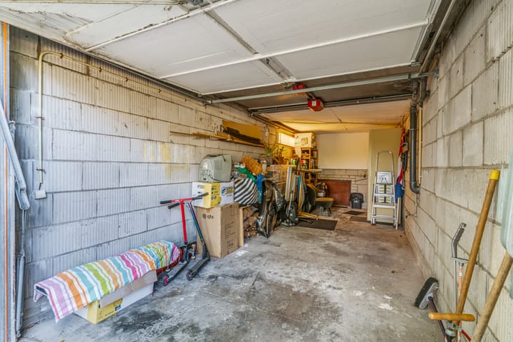 Foto 28 van Hermelijnvlinder 62