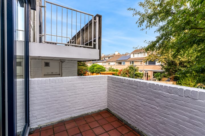 Foto 29 van Hermelijnvlinder 62