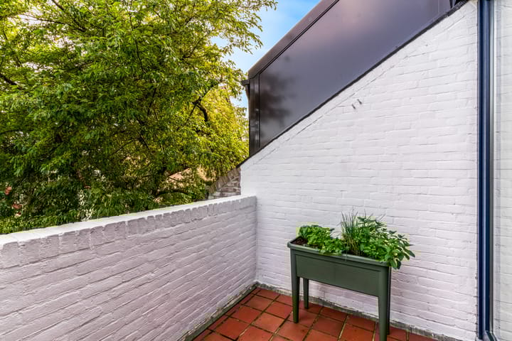 Foto 30 van Hermelijnvlinder 62