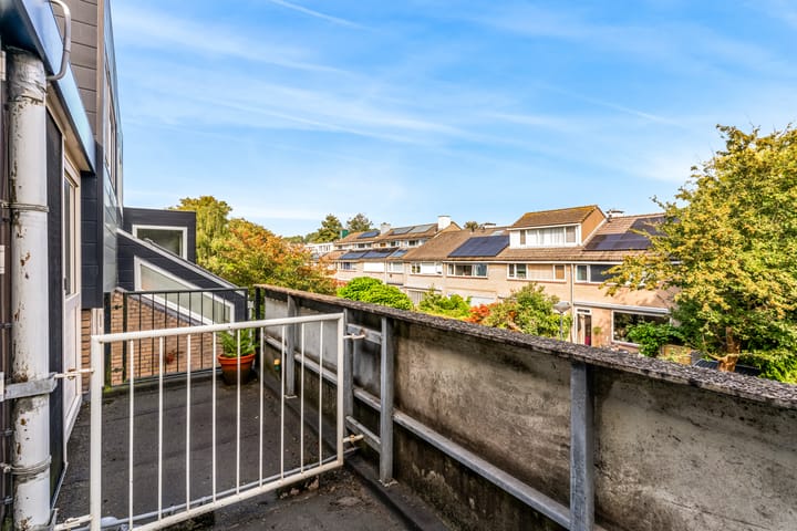 Foto 31 van Hermelijnvlinder 62