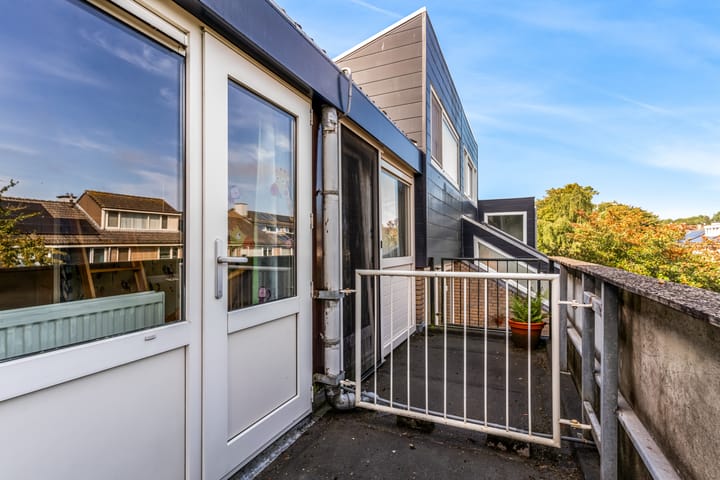 Foto 32 van Hermelijnvlinder 62