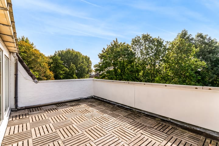 Foto 33 van Hermelijnvlinder 62