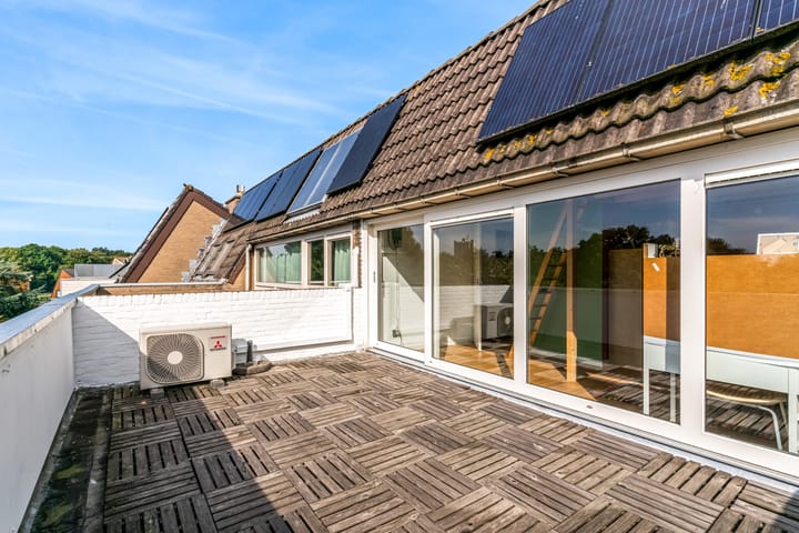 Foto 34 van Hermelijnvlinder 62