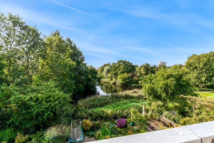 Foto 35 van Hermelijnvlinder 62