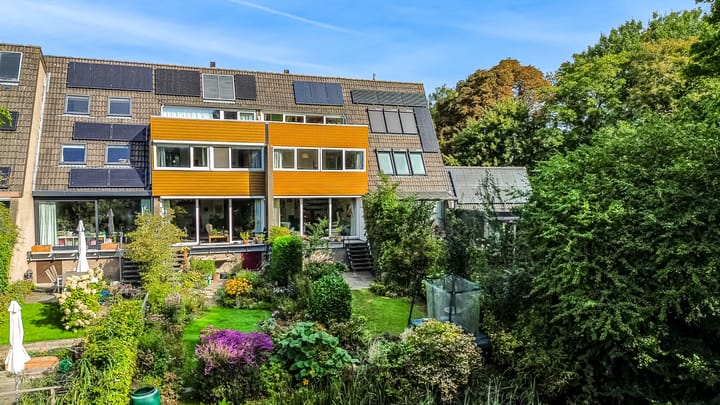 Foto 36 van Hermelijnvlinder 62