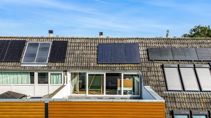 Foto 37 van Hermelijnvlinder 62