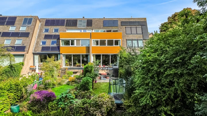 Foto 38 van Hermelijnvlinder 62