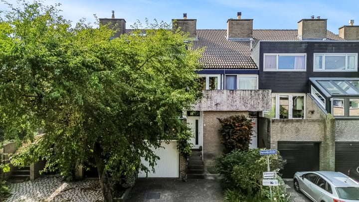 Foto 39 van Hermelijnvlinder 62