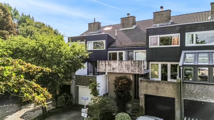 Foto 40 van Hermelijnvlinder 62