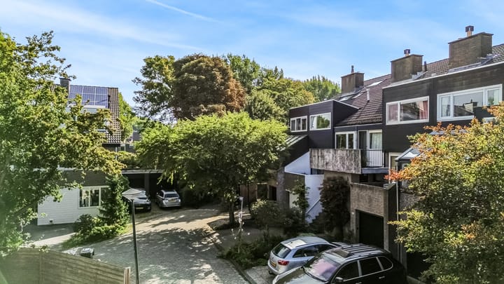 Foto 41 van Hermelijnvlinder 62