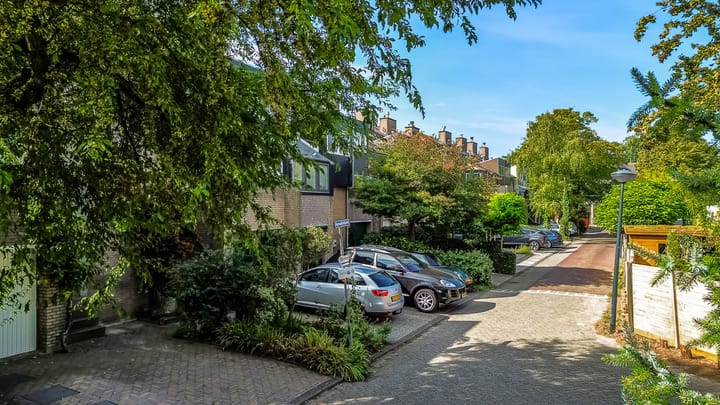 Foto 42 van Hermelijnvlinder 62