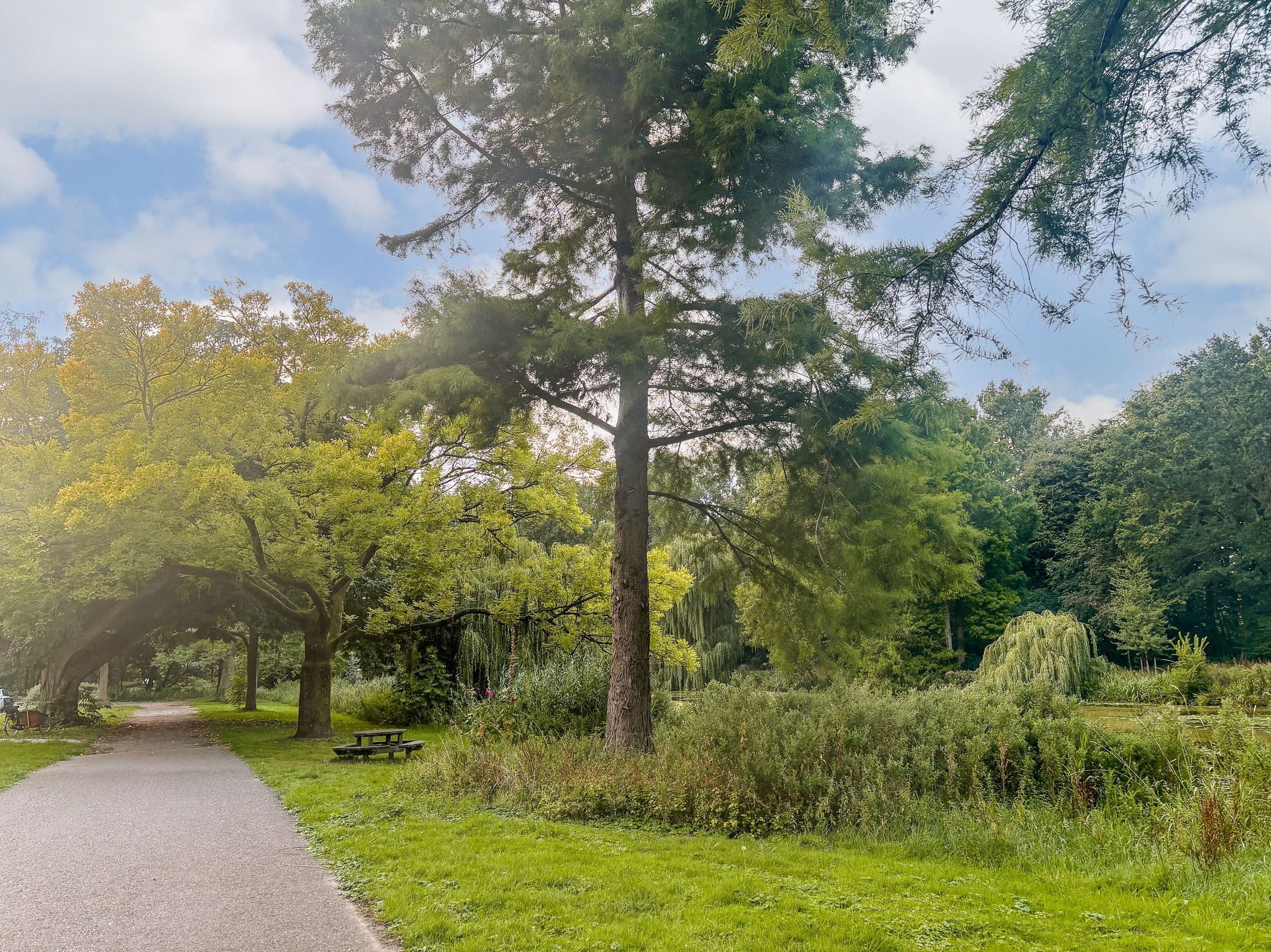 Foto 30 van Groetstraat 210