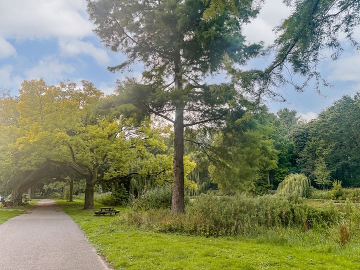 Foto 30 van Groetstraat 210