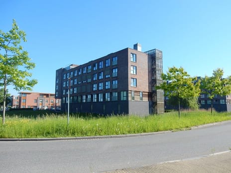 undefined main image