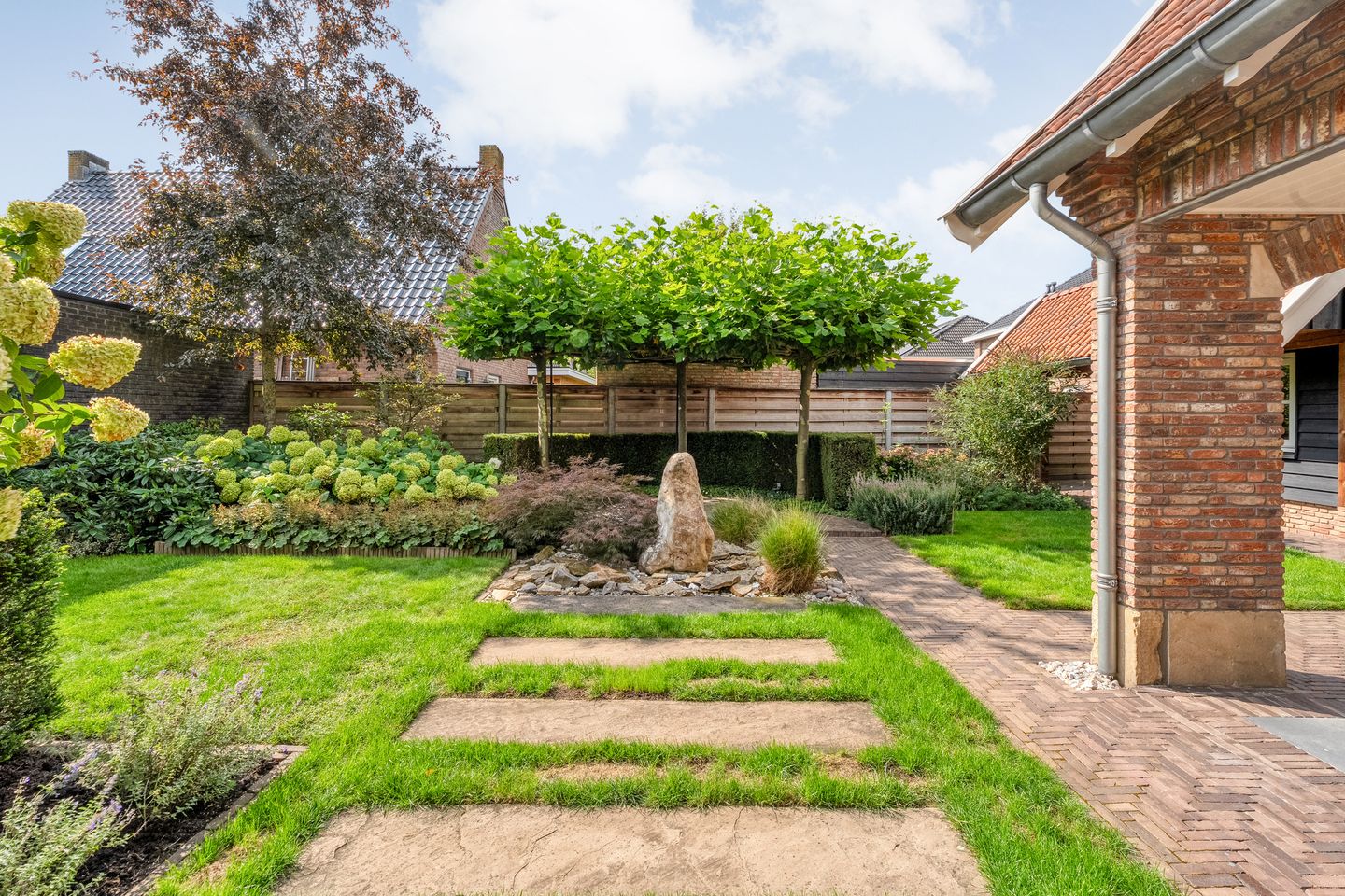 Foto 5 van Scholekster 13