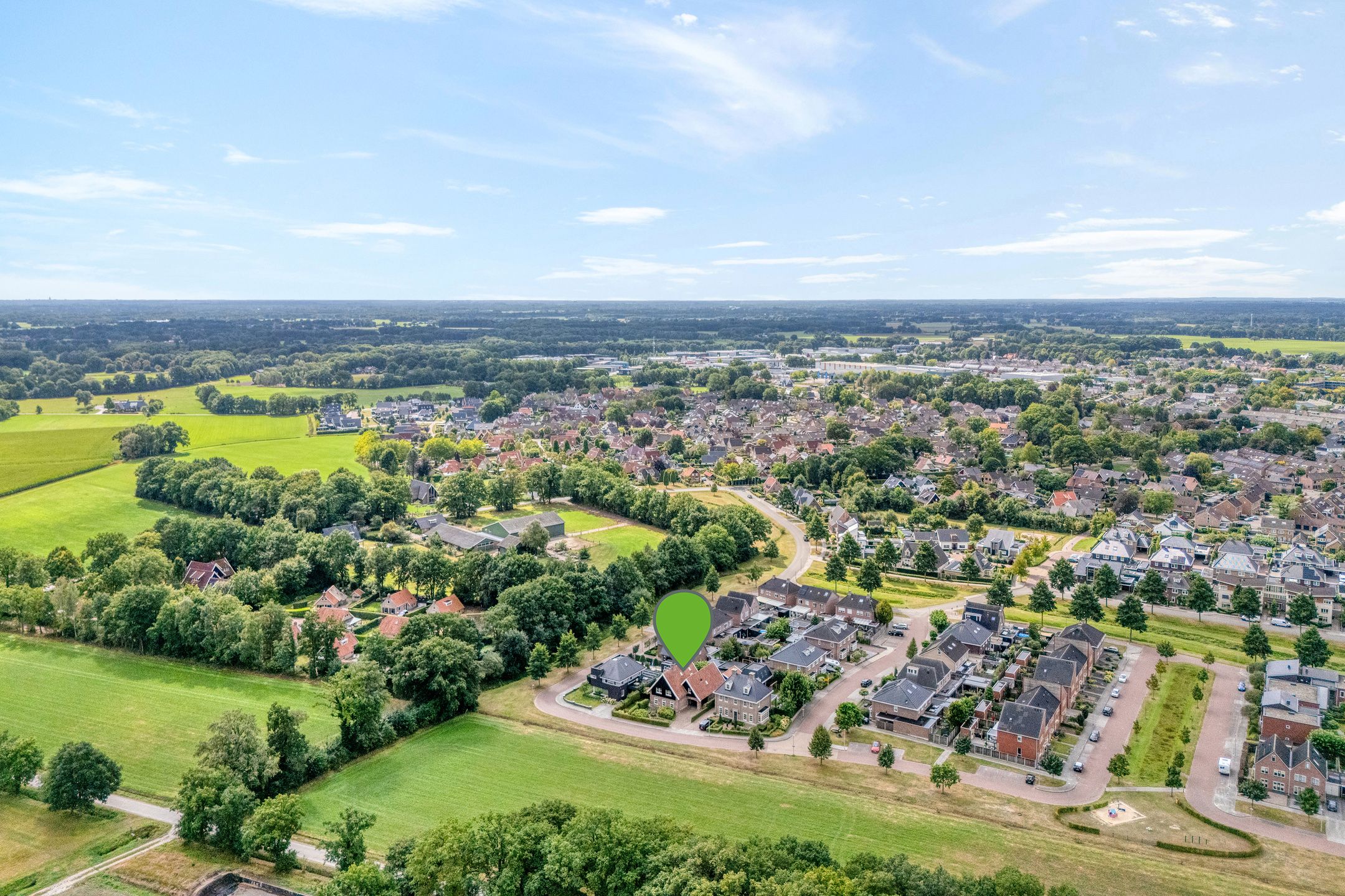 Foto 6 van Scholekster 13