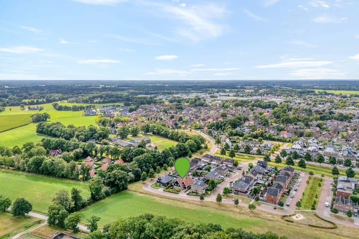 Foto 6 van Scholekster 13