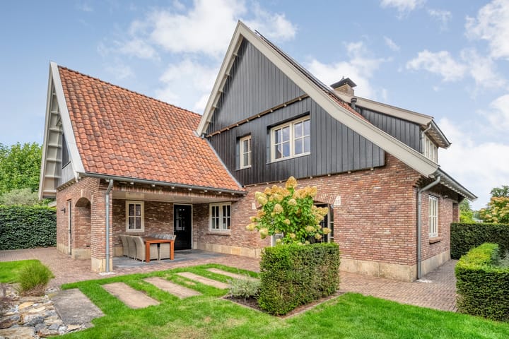 Foto 30 van Scholekster 13