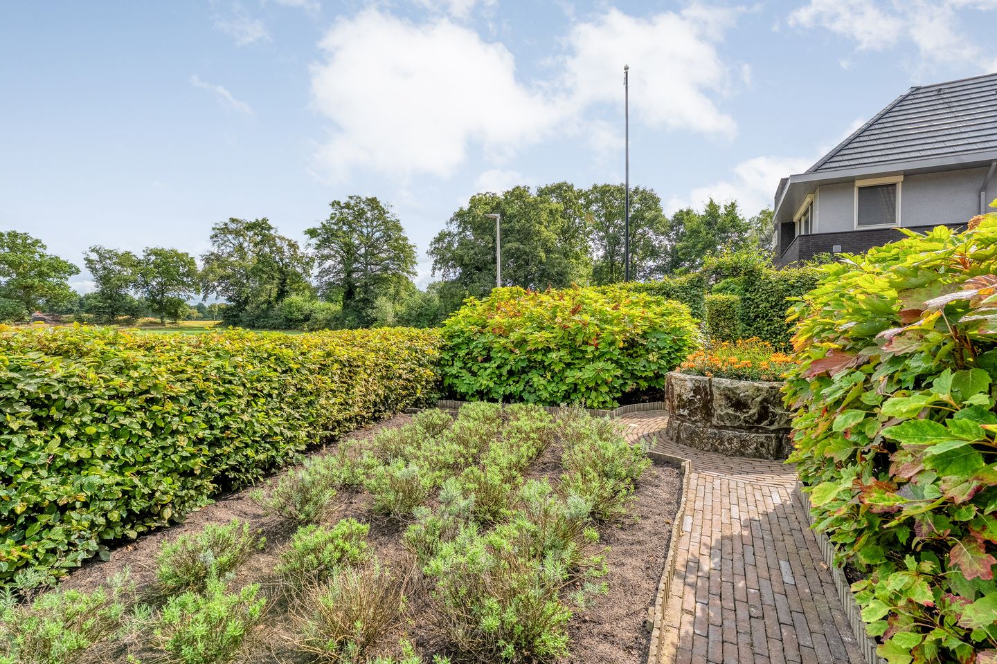 Foto 35 van Scholekster 13