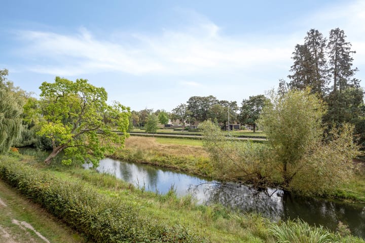 Photo 8 of Malvert 6249