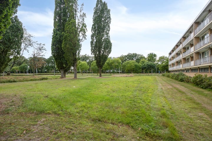 Photo 29 of Malvert 6249