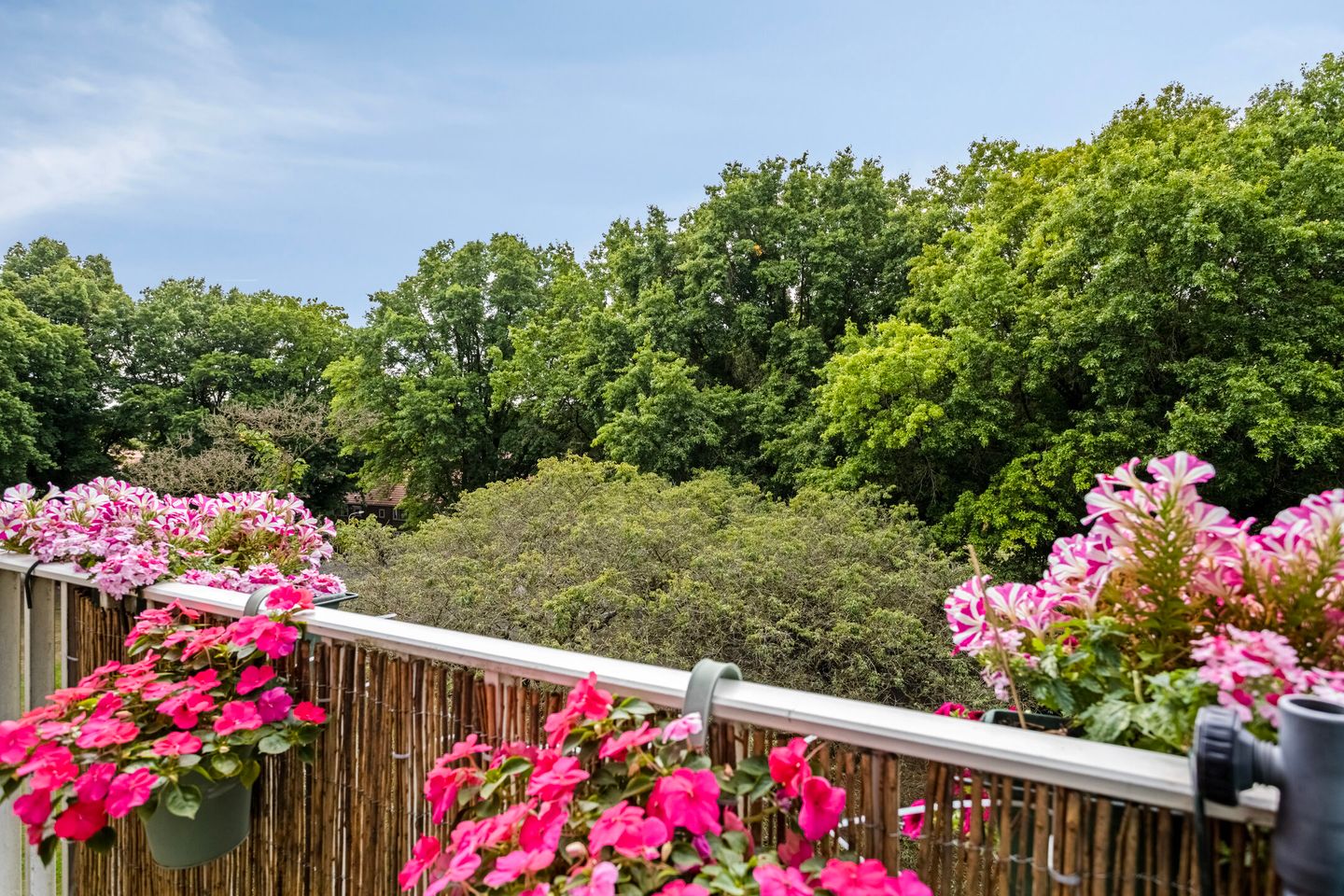 Foto 19 van Jan Erasstraat 8