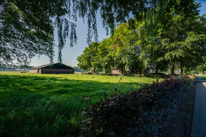 Foto 12 van Peeldijk 22