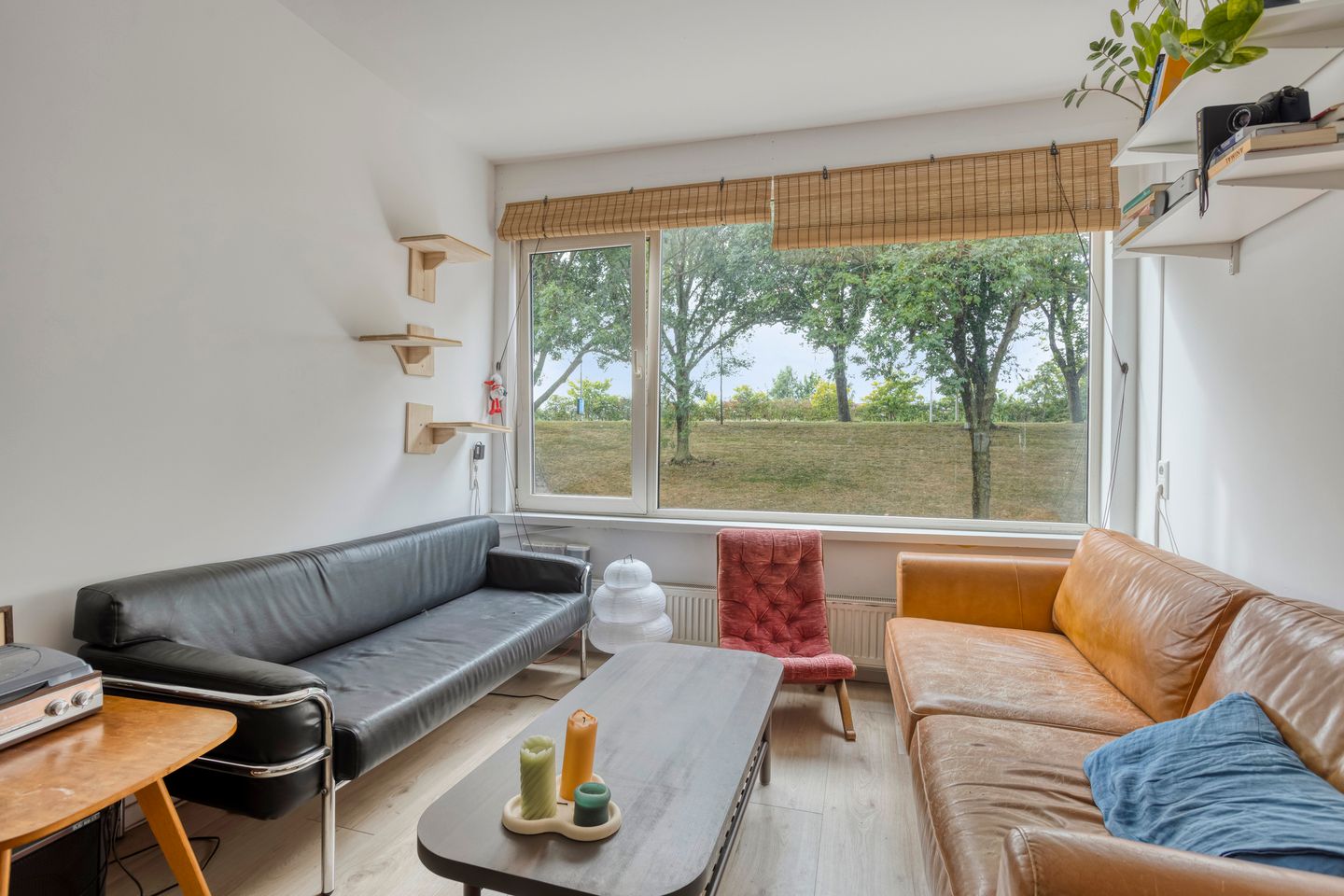 Foto 5 van Schiedamseweg Beneden 535-01L