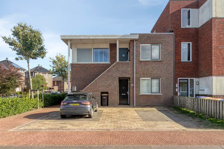 Foto 5 van Galjoen 03 1