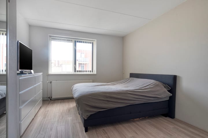 Foto 21 van Galjoen 03 1