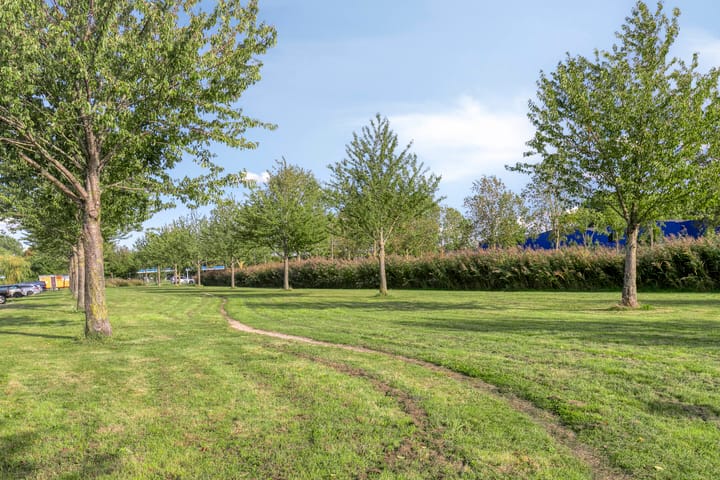 Foto 32 van Galjoen 03 1