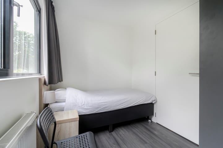 Foto 18 van Immenweg 15-529