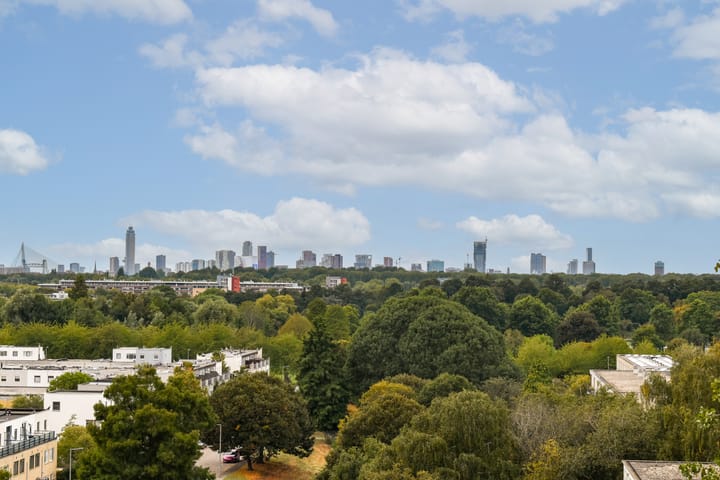 Foto 3 van Den Uylsingel 135