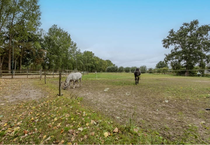 Photo 12 of Gemondsedijk 21