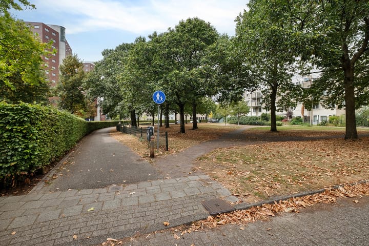 Photo 40 of Veenstraat 138