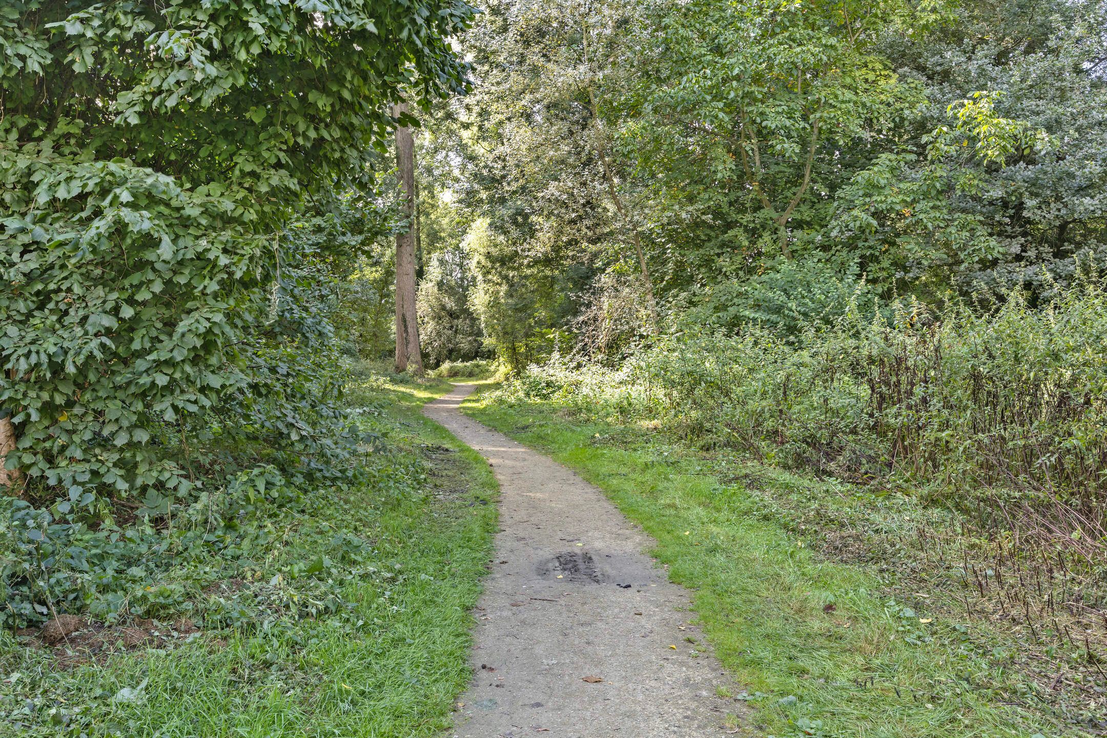 Foto 42 van Vechtlaan 108