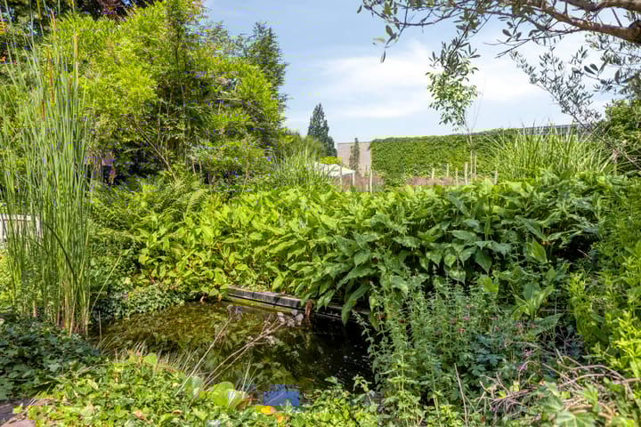 Photo 47 of Julianastraat 1