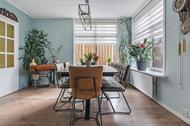 Foto 11 van Heechfinne 4