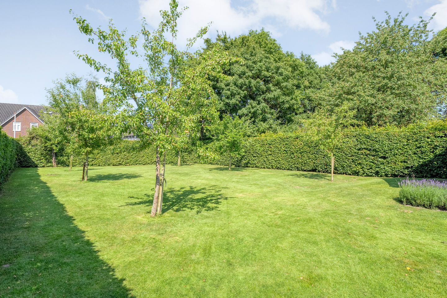 Photo 49 of Veldweg 3