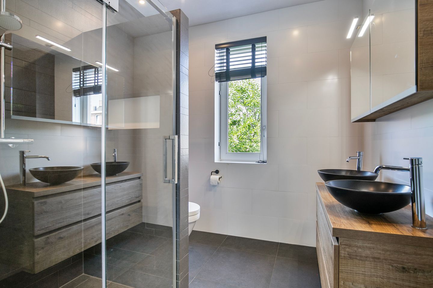 Foto 4 van Aalscholver 45