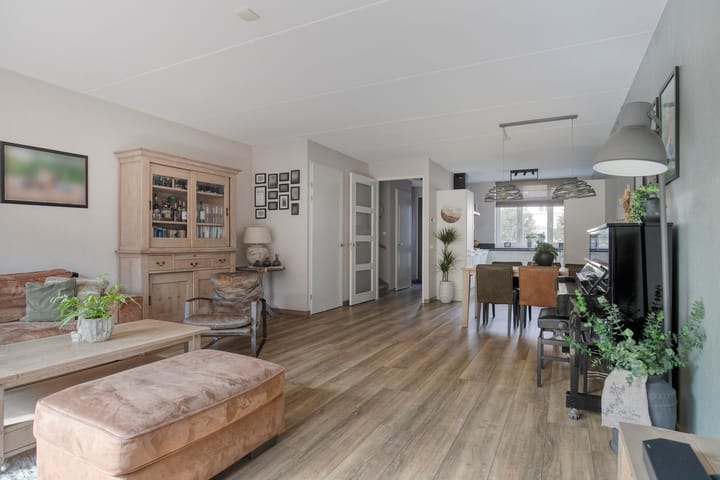 Foto 2 van Aalscholver 45