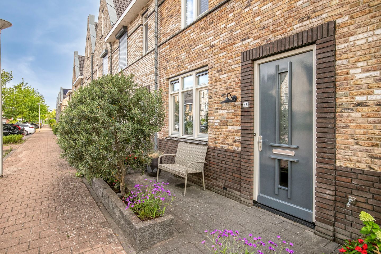 Foto 5 van Aalscholver 45