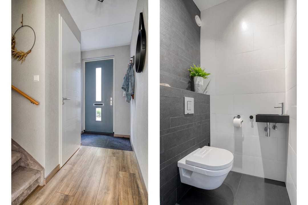 Foto 7 van Aalscholver 45