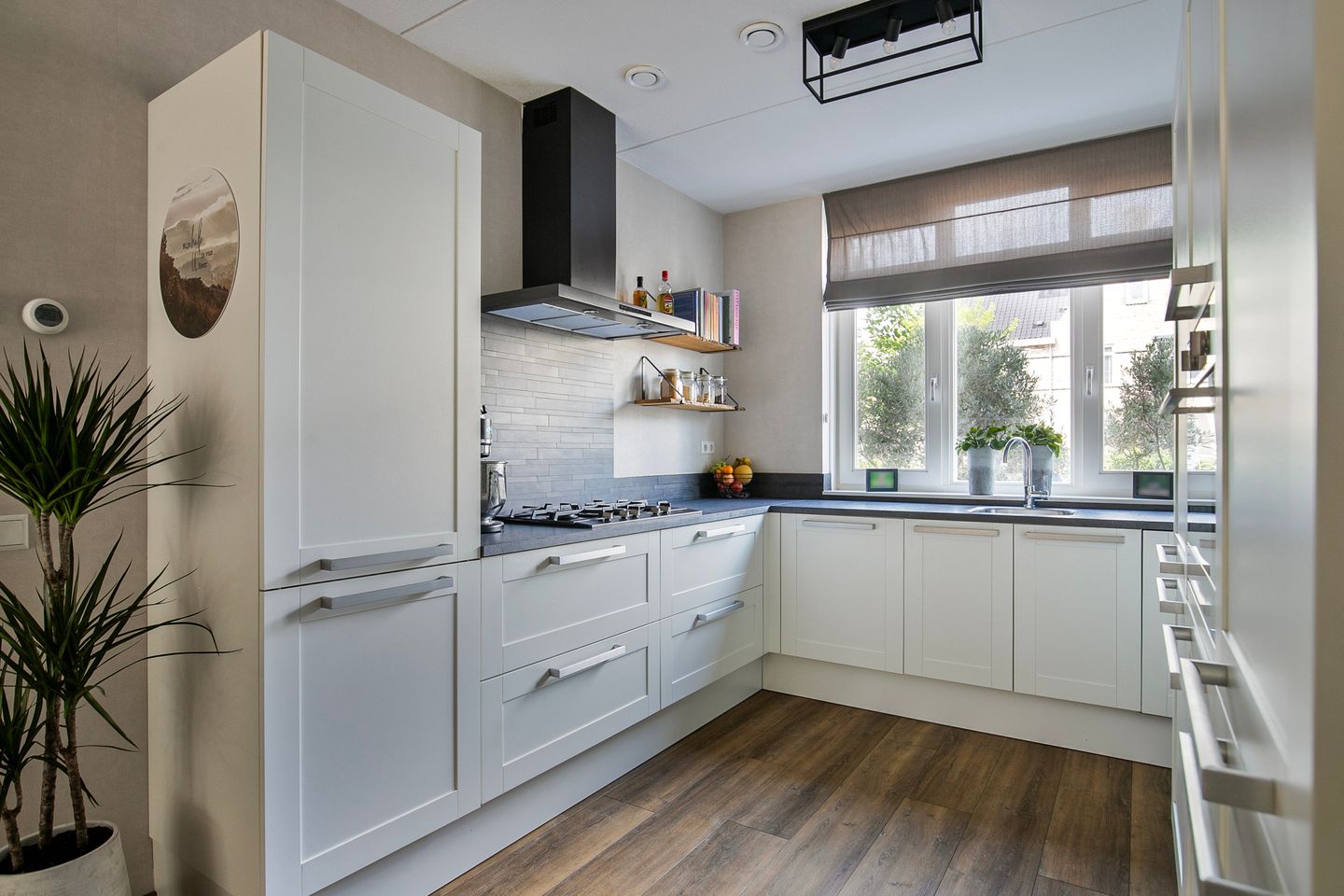 Foto 10 van Aalscholver 45